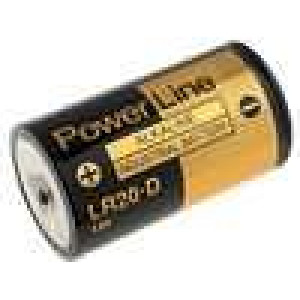 Alkalická baterie 1,5V R20 (D) Panasonic