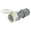 Konektor: napájecí AC zástrčka zásuvka 16A IEC 60309 IP44