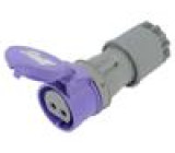 Konektor: napájecí AC zástrčka zásuvka 32A 24VAC IEC 60309