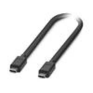 Kabel USB 3.2 USB C vidlice,z obou stran 0,3m černá Žíla: Cu