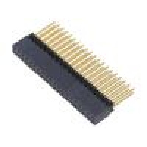Konektor: kolíkové vidlice PIN: 40 2,54mm zlacený THT zásuvka