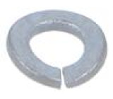 Podložka pérová M2,5 D=5,1mm h=0,9mm ocel Povlak: zinek