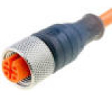 Kabel: pro snímače/automatizaci M12 PIN: 3 přímý 2m zástrčka