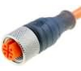 Kabel: pro snímače/automatizaci M12 PIN: 3 přímý 5m zástrčka