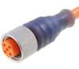 Kabel: pro snímače/automatizaci M12 PIN: 5 přímý 5m zástrčka