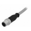 M12 0,5m vidlice PIN:12 přímý kód A-DeviceNet / CANopen PVC