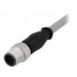 M12 10m vidlice PIN:12 přímý kód A-DeviceNet / CANopen PVC