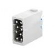 Konektor: HDC modul vidlice Han-Modular® PIN: 8 16A 400V