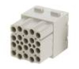 Konektor: HDC modul zásuvka Han-Modular® PIN: 20 bez kontaktů