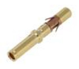 Kontakt Rozměr:16 zásuvka 16÷18AWG RT360 gold flash volně