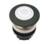 Přepínač: tlačítkový 1-polohové 22mm bílá Podsv: není IP67