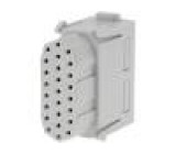 Konektor: HDC modul zásuvka Han-Modular® PIN: 25 bez kontaktů