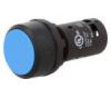 Přepínač: tlačítkový 1-polohové NO 1A/240VAC 0,3A/24VDC 22mm