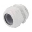 STR-M50-R7035 Vývodka M50 1,5 IP68,IP69K polyamid světle šedá SKINTOP®