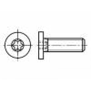 Šroub M5x6 0,8 Hlava: válcová Torx® TX15 ocel zinek