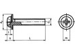 Šroub s límcem M6x10 1 Hlava: kulatá Phillips PH3 ocel zinek