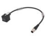 Kabel-adaptér M12 vidlice, DIN 43650 vidlice PIN:3 IP67 0,3m