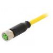 Kabel: pro snímače/automatizaci M8 PIN: 3 přímý 5m zástrčka