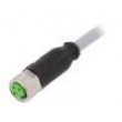 Kabel: pro snímače/automatizaci M8 PIN: 3 přímý 5m zástrčka