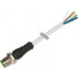 Kabel: pro snímače/automatizaci M12 PIN: 8 přímý 3m zástrčka