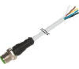 Kabel: pro snímače/automatizaci M12 PIN: 8 přímý 3m zástrčka