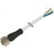 Kabel: pro snímače/automatizaci M12 PIN: 8 přímý 3m zástrčka