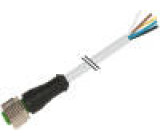 Kabel: pro snímače/automatizaci M12 PIN: 8 přímý 3m zástrčka