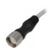 Kabel: pro snímače/automatizaci M23 PIN: 12 přímý 5m zástrčka