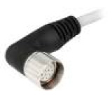 Připojovací kabel M23 PIN: 12 úhlový 5m zástrčka 125VAC 7,5A