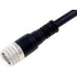 Kabel: pro snímače/automatizaci M8 PIN: 3 přímý 5m zástrčka
