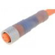 Kabel: pro snímače/automatizaci M8 PIN: 4 přímý 10m zástrčka