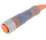 Kabel: pro snímače/automatizaci M8 PIN: 4 přímý 10m zástrčka