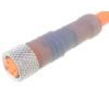 Kabel: pro snímače/automatizaci M8 PIN: 4 přímý 20m zástrčka