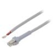Kabel: pro snímače/automatizaci PIN: 2 2m zásuvka