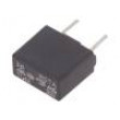 Pojistka: tavná zpožděná 1A 250VAC 63VDC 8,4x4x7,8mm RSTA