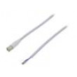 Kabel: pro snímače/automatizaci M8 PIN: 4 přímý 3m zástrčka