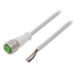 Kabel: pro snímače/automatizaci M12 PIN: 4 přímý 3m zástrčka