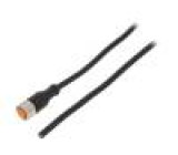 Kabel: pro snímače/automatizaci M12 PIN: 4 přímý 5m zástrčka