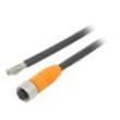 Kabel: pro snímače/automatizaci M12 PIN: 8 přímý 5m zástrčka