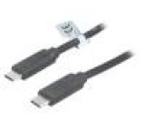 Kabel USB 3.1 z obou stran,USB C vidlice 1m černá 10Gbps