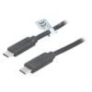 Kabel USB 3.2 USB C vidlice,z obou stran 1m černá 10Gbps