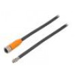 Kabel: pro snímače/automatizaci M12 PIN: 8 přímý 2m zástrčka