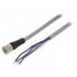 Kabel: pro snímače/automatizaci M12 PIN: 5 přímý 1,5m zástrčka