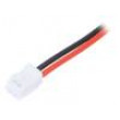 Cable Assembly Mini CT 2 pos.