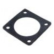 FLANGE GASKET CPC