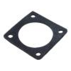 FLANGE GASKET CPC