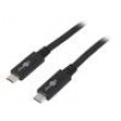 Kabel USB 3.2 USB C vidlice,z obou stran 1m černá 20Gbps