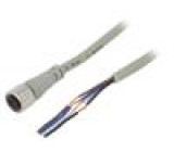 Kabel: pro snímače/automatizaci M12 PIN: 4 přímý 2m zástrčka