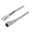 Kabel: pro snímače/automatizaci M12 PIN: 4 přímý 5m zástrčka