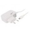 Napájecí zdroj: spínaný 5VDC 2A Výv: micro USB 10W Vidlice: EU